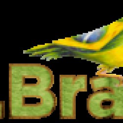 20160804131040_logo-srbrasil.png